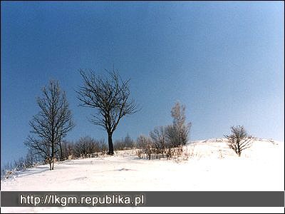 Cerkiew Bieszczadzkie Szlaki, Kirkut, Polonina